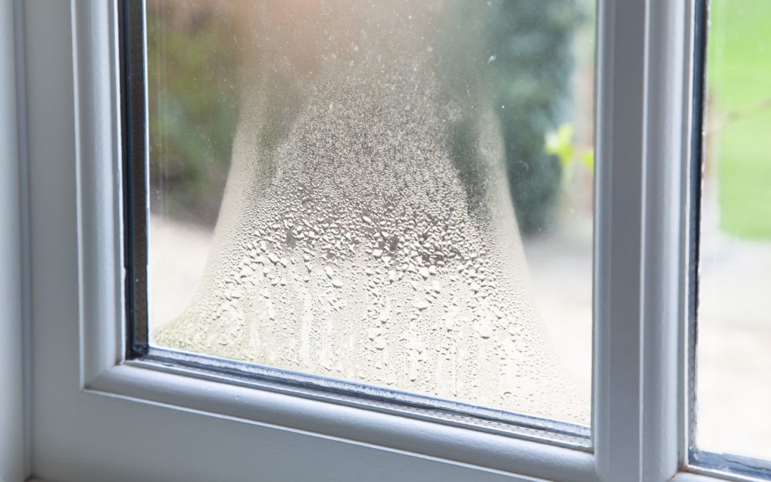 Fog Between Your Apex, NC Windows? What’s Normal and What’s Not When It Comes to Moisture Between Your Window Panes