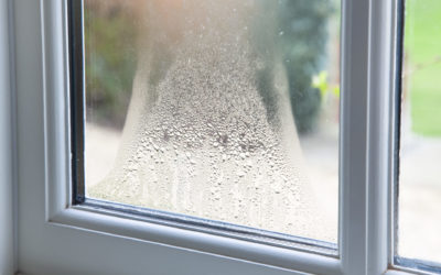 Fog Between Your Apex, NC Windows? What’s Normal and What’s Not When It Comes to Moisture Between Your Window Panes