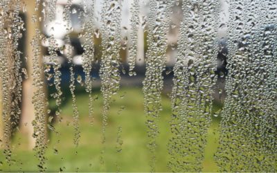 Condensation Outside Your Windows for Your Home in Apex NC: Separating Fact from Fiction