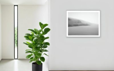 5 Reasons to Love Floor-to-Ceiling Slim Vertical Windows in Cary, NC