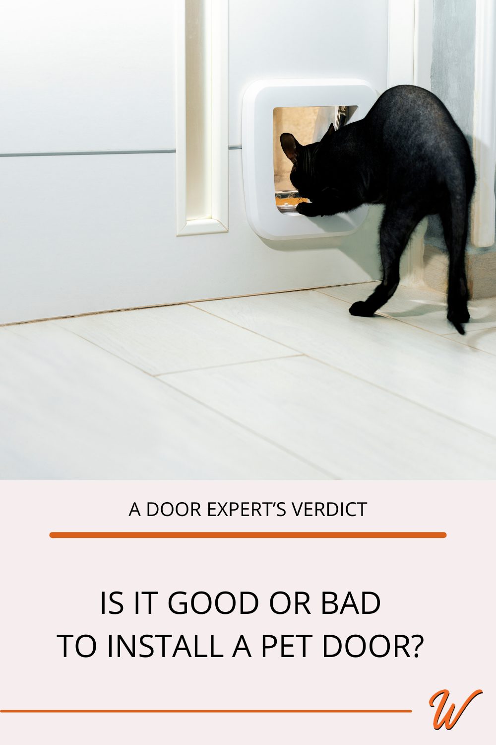 a black cat goes through a pet door in a modern home. The image is captioned with "A door expert's verdict: Is it good or bad to install a pet door?"